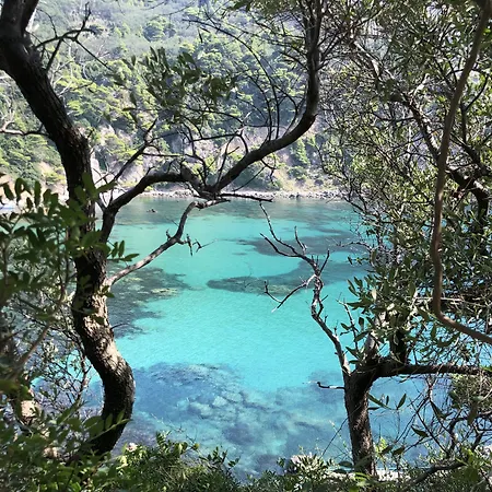 Sebastian's - Agios Gordios