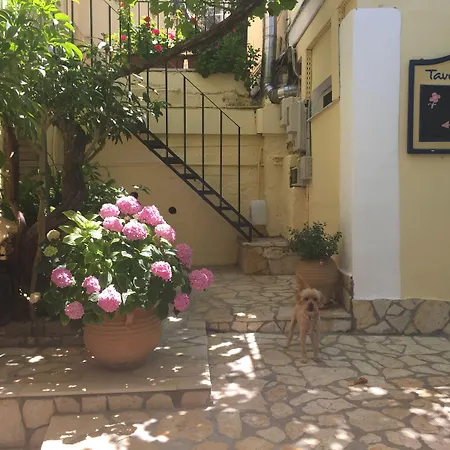 Apartament Sebastian's Family And Taverna - Agios Gordios *